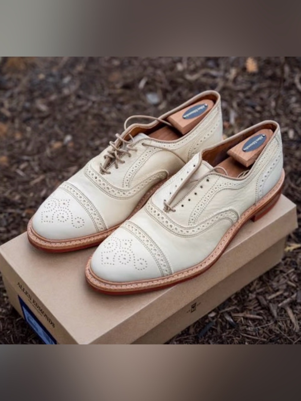 Allen Edmonds Cream and Tan Wingtip Brogues